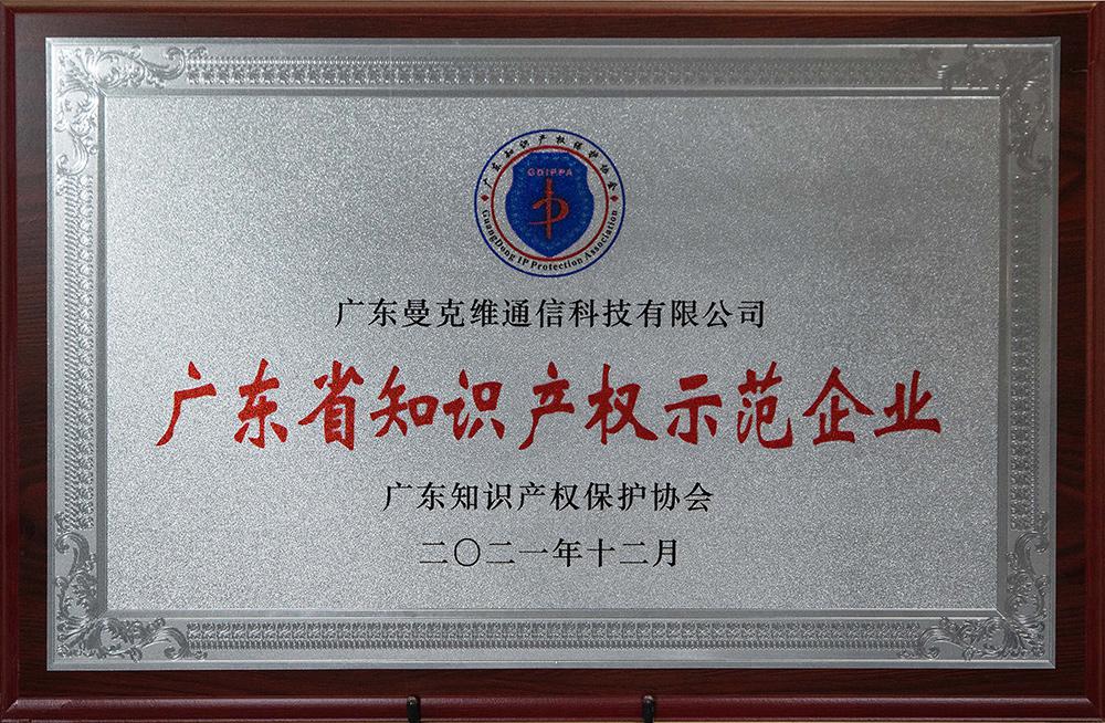 广东省知识产权示范企业