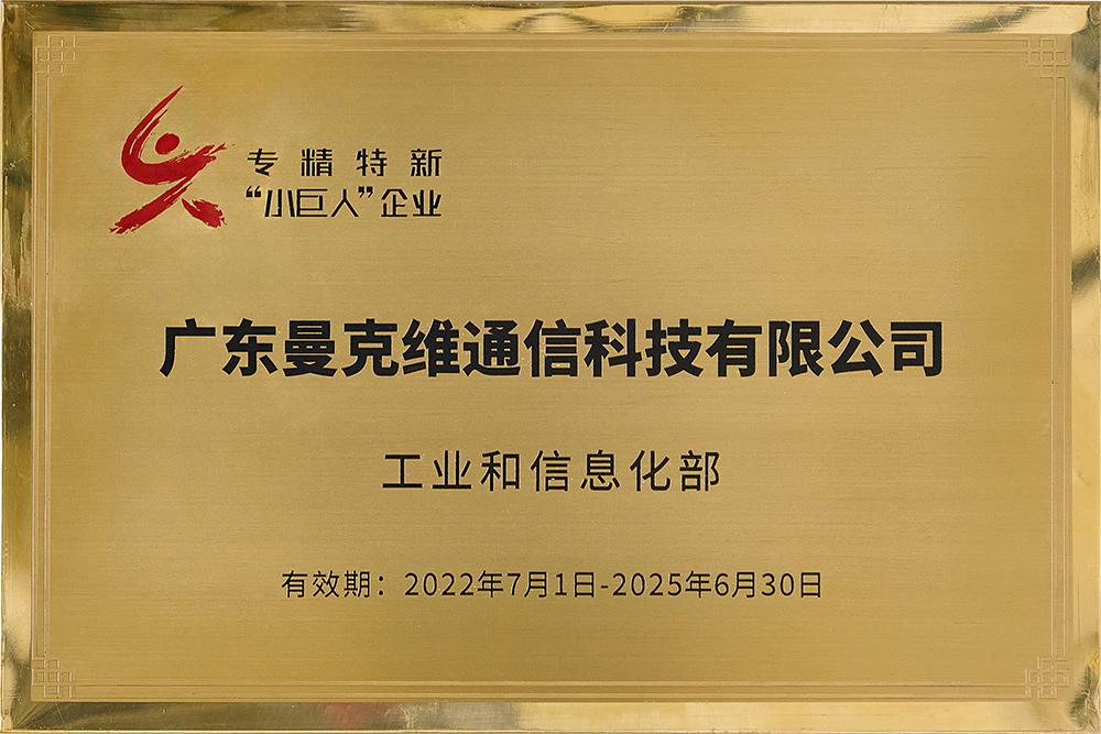 国家级专精特新小巨人企业